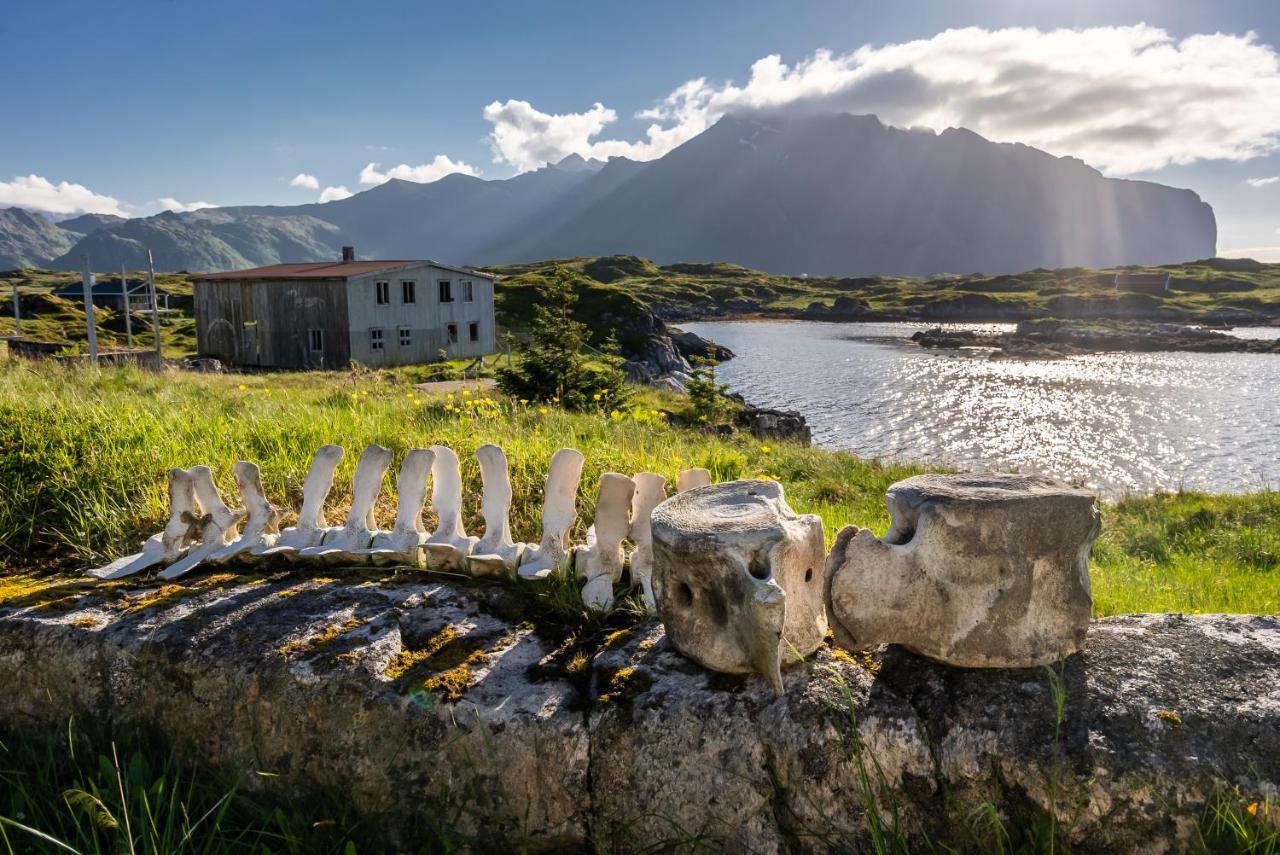Villa Borgvag - A Unique Seafront Villa In The Heart Of Lofoten Bostad Eksteriør bilde