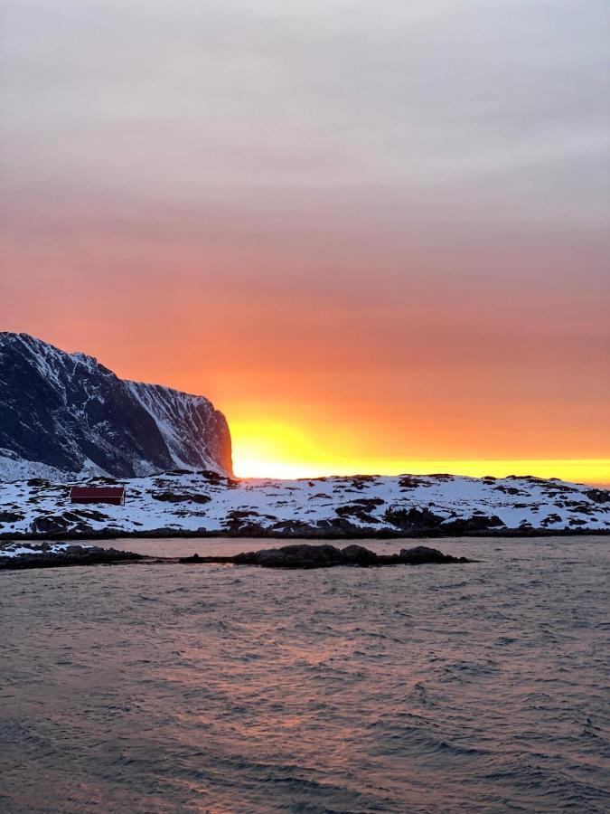 Villa Borgvag - A Unique Seafront Villa In The Heart Of Lofoten Bostad Eksteriør bilde