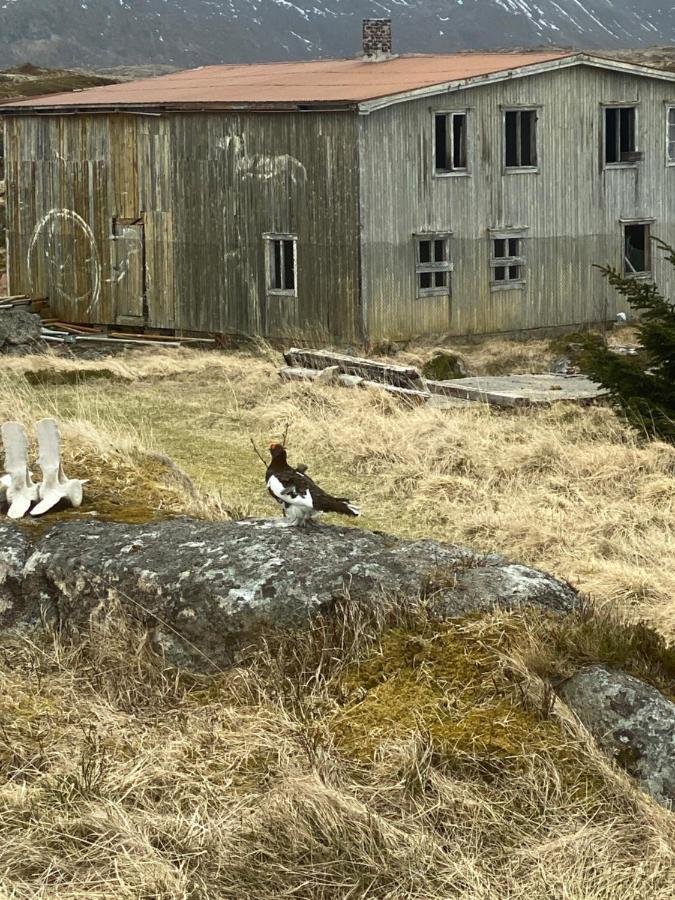 Villa Borgvag - A Unique Seafront Villa In The Heart Of Lofoten Bostad Eksteriør bilde